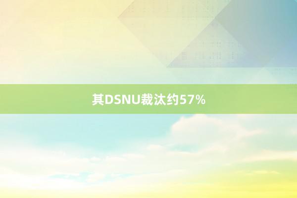 其DSNU裁汰约57%